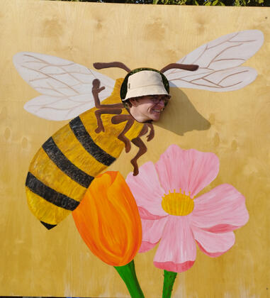 Čmeláček Martin🐝