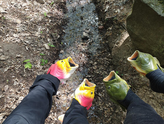 Kapři na dovolené.